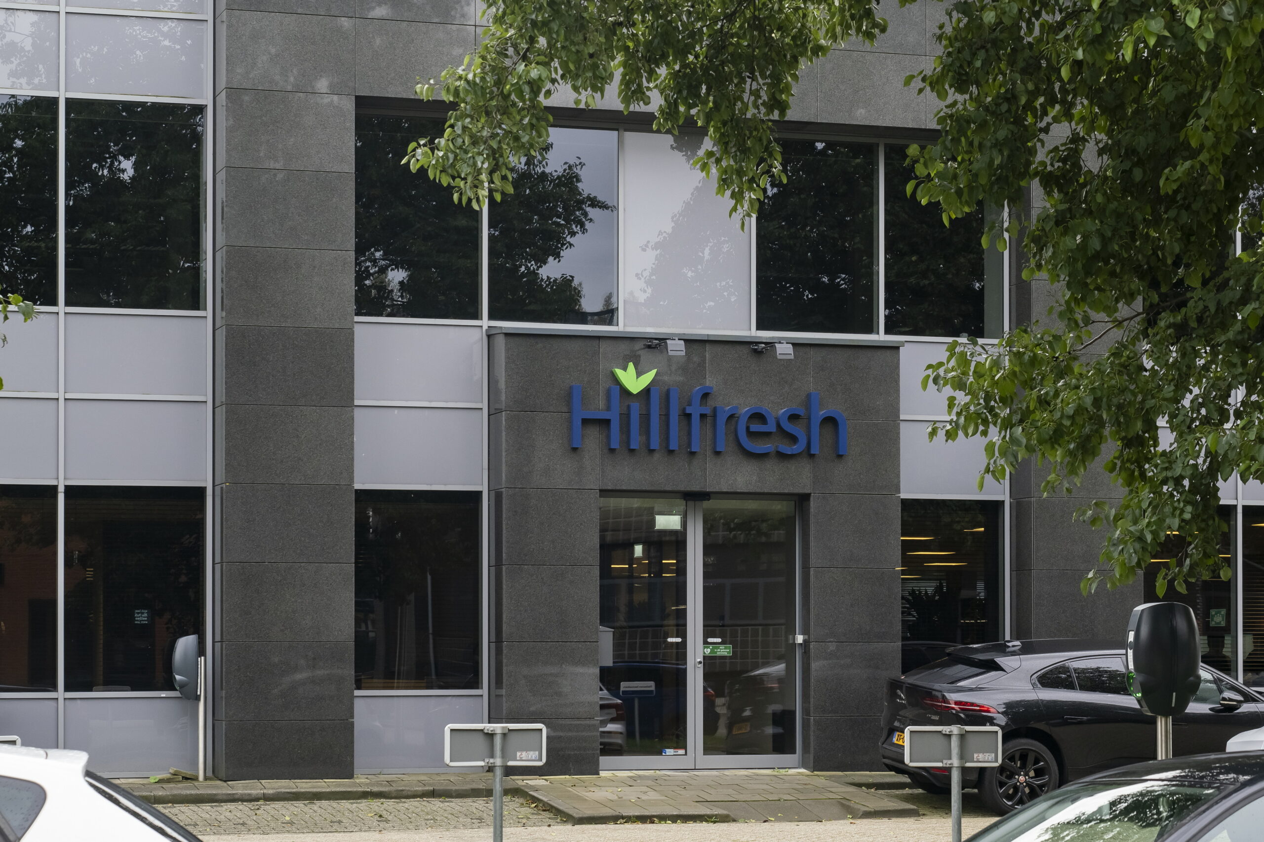 Hillfresh